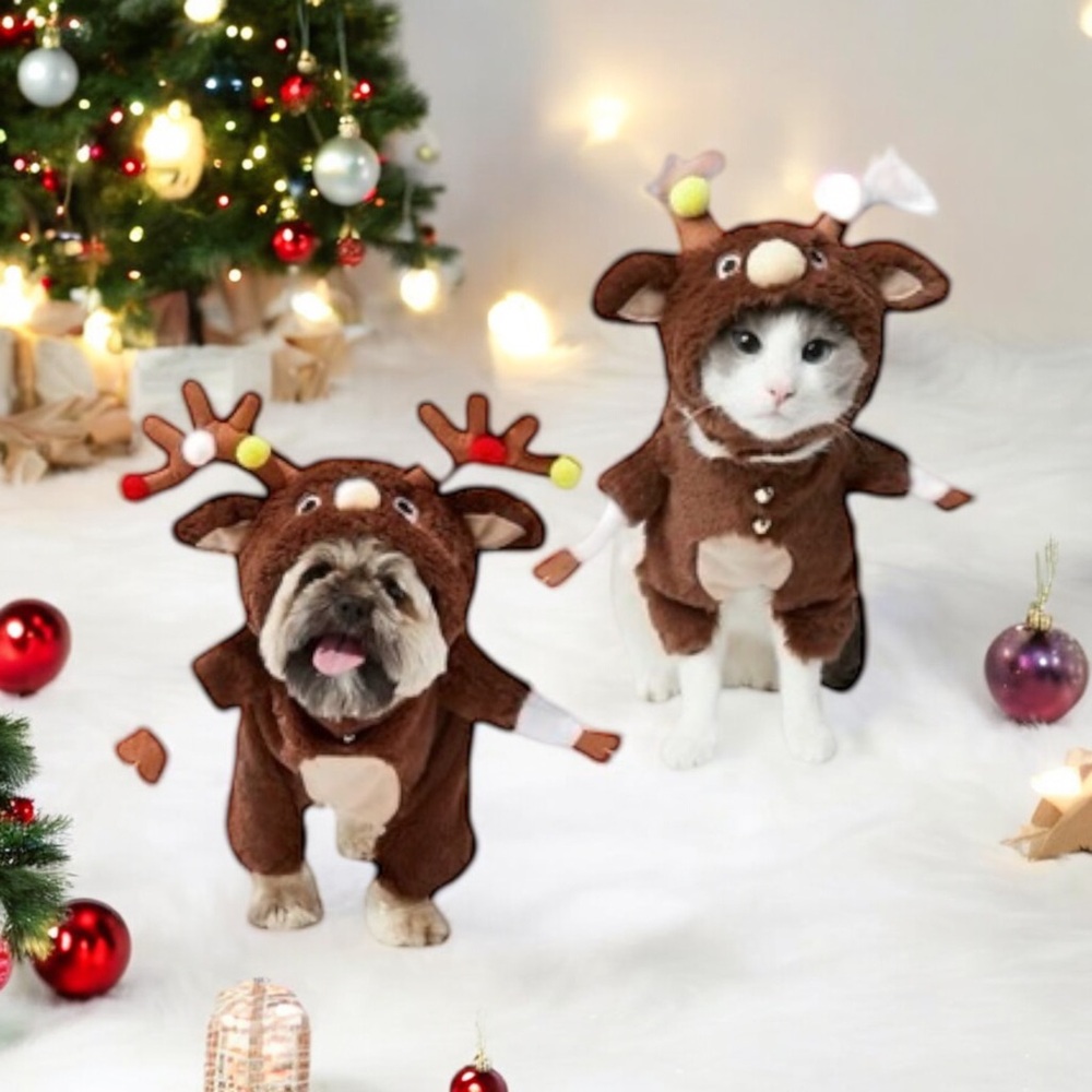 Halloween pet costumes and Christmas costumes assorted sizes